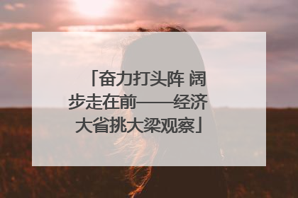 奋力打头阵 阔步走在前——经济大省挑大梁观察