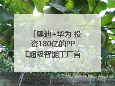 奥迪+华为 投资180亿的PPE超级智能工厂首款产品要搞大事情？｜粤港澳车展