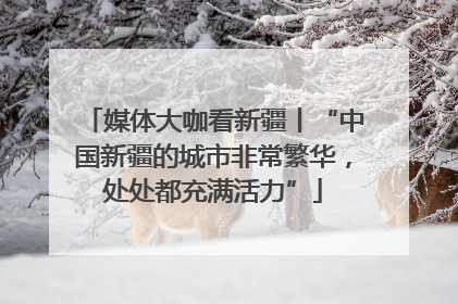 媒体大咖看新疆丨“中国新疆的城市非常繁华，处处都充满活力”