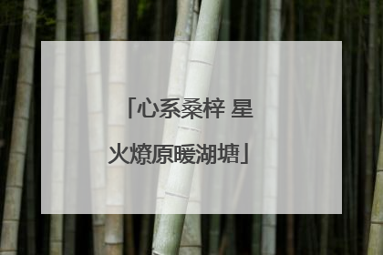 心系桑梓 星火燎原暖湖塘