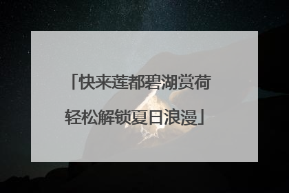 快来莲都碧湖赏荷 轻松解锁夏日浪漫