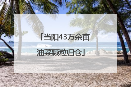 当阳43万余亩油菜颗粒归仓
