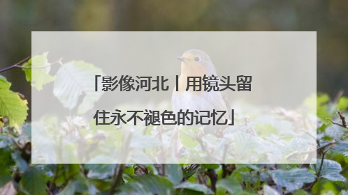 影像河北丨用镜头留住永不褪色的记忆