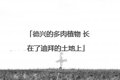 德兴的多肉植物 长在了迪拜的土地上