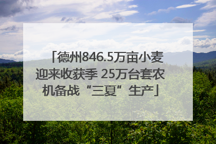 德州846.5万亩小麦迎来收获季 25万台套农机备战“三夏”生产