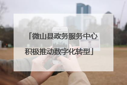 微山县政务服务中心积极推动数字化转型