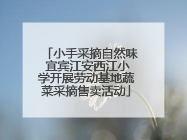 小手采摘自然味 宜宾江安西江小学开展劳动基地蔬菜采摘售卖活动