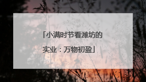 小满时节看潍坊的实业：万物初盈