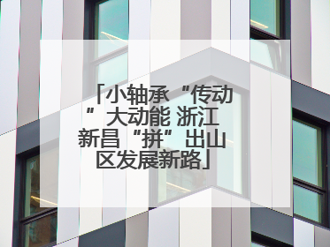 小轴承“传动”大动能 浙江新昌“拼”出山区发展新路