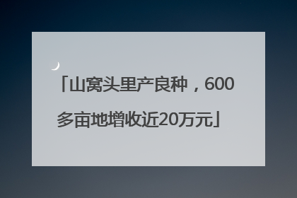 山窝头里产良种，600多亩地增收近20万元