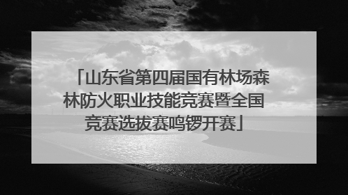 山东省第四届国有林场森林防火职业技能竞赛暨全国竞赛选拔赛鸣锣开赛