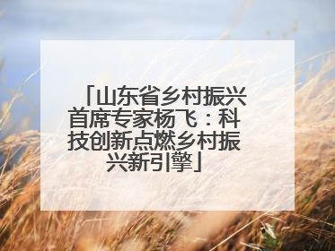 山东省乡村振兴首席专家杨飞：科技创新点燃乡村振兴新引擎