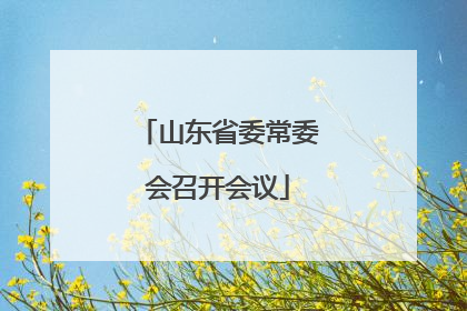 山东省委常委会召开会议