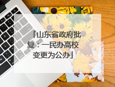 山东省政府批复：一民办高校变更为公办
