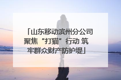 山东移动滨州分公司聚焦“打猫”行动 筑牢群众财产防护堤
