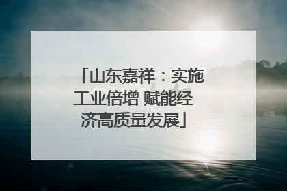 山东嘉祥：实施工业倍增 赋能经济高质量发展