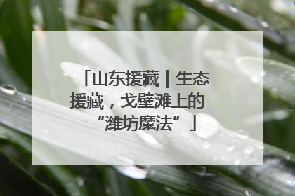 山东援藏｜生态援藏，戈壁滩上的“潍坊魔法”