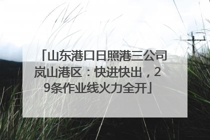 山东港口日照港三公司岚山港区：快进快出，29条作业线火力全开