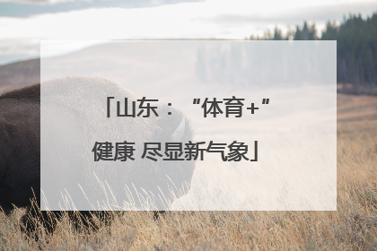 山东：“体育+”健康 尽显新气象