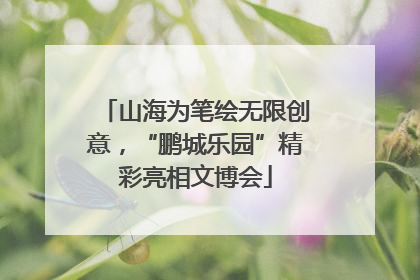 山海为笔绘无限创意，“鹏城乐园”精彩亮相文博会