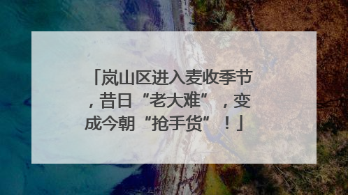 岚山区进入麦收季节，昔日“老大难”，变成今朝“抢手货”！