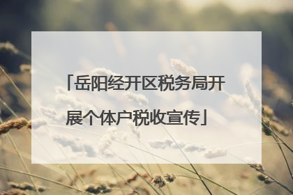 岳阳经开区税务局开展个体户税收宣传