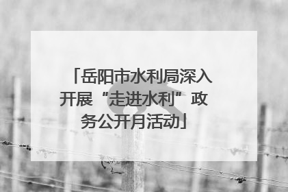 岳阳市水利局深入开展“走进水利”政务公开月活动