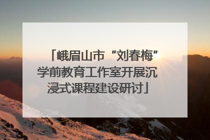 峨眉山市“刘春梅”学前教育工作室开展沉浸式课程建设研讨