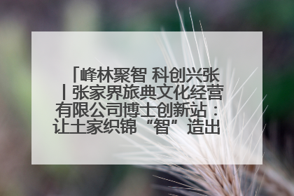 峰林聚智 科创兴张丨张家界旅典文化经营有限公司博士创新站：让土家织锦“智”造出非遗新传奇