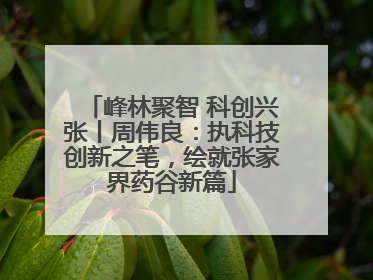 峰林聚智 科创兴张丨周伟良：执科技创新之笔，绘就张家界药谷新篇