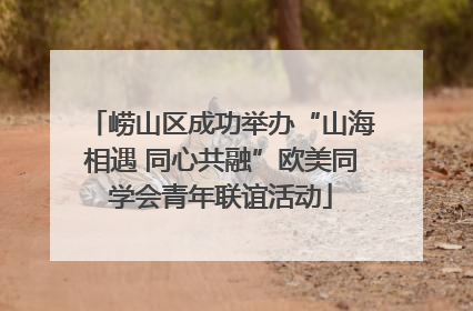崂山区成功举办“山海相遇 同心共融”欧美同学会青年联谊活动