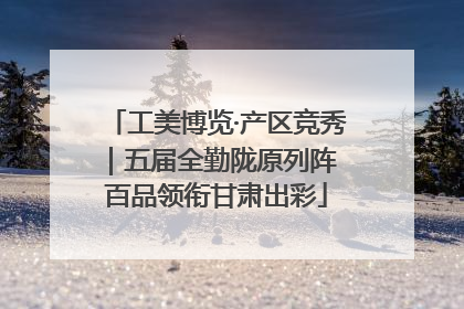 工美博览·产区竞秀｜五届全勤陇原列阵 百品领衔甘肃出彩