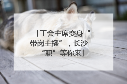 工会主席变身“带岗主播”，长沙“职”等你来