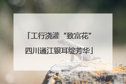 工行浇灌“致富花” 四川通江银耳绽芳华