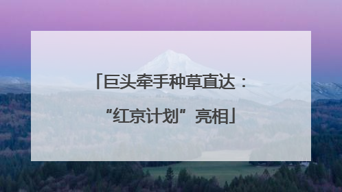 巨头牵手种草直达：“红京计划”亮相