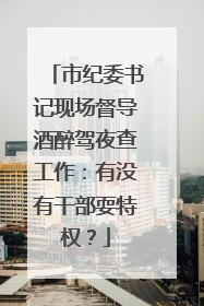 市纪委书记现场督导酒醉驾夜查工作：有没有干部耍特权？