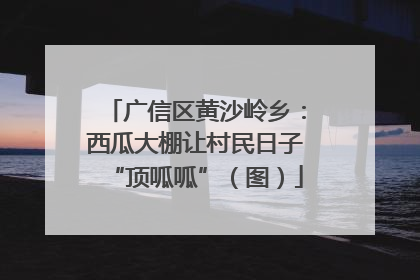广信区黄沙岭乡：西瓜大棚让村民日子“顶呱呱”（图）