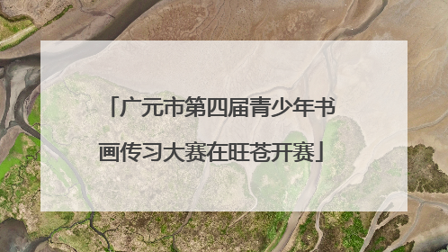 广元市第四届青少年书画传习大赛在旺苍开赛