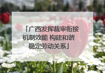 广西发挥裁审衔接机制效能 构建和谐稳定劳动关系