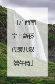 广西南宁：新侨代表共叙端午情