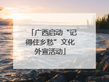 广西启动“记得住乡愁”文化外宣活动