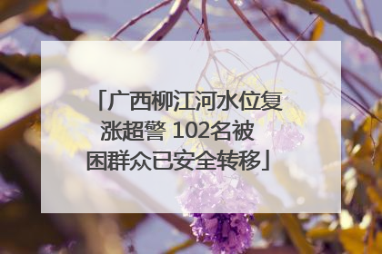 广西柳江河水位复涨超警 102名被困群众已安全转移