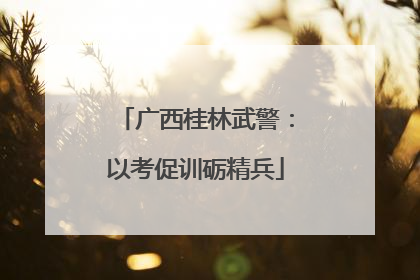 广西桂林武警：以考促训砺精兵