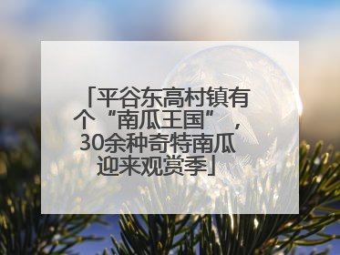 平谷东高村镇有个“南瓜王国”，30余种奇特南瓜迎来观赏季