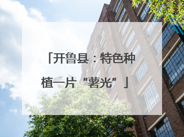 开鲁县：特色种植一片“薯光”