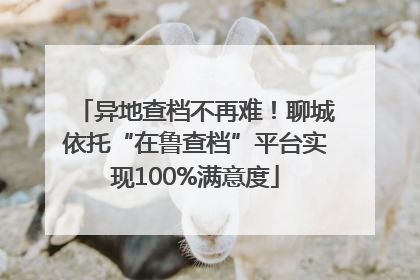 异地查档不再难！聊城依托“在鲁查档”平台实现100%满意度