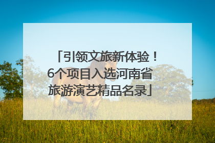 引领文旅新体验！6个项目入选河南省旅游演艺精品名录