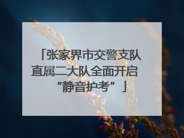 张家界市交警支队直属二大队全面开启“静音护考”