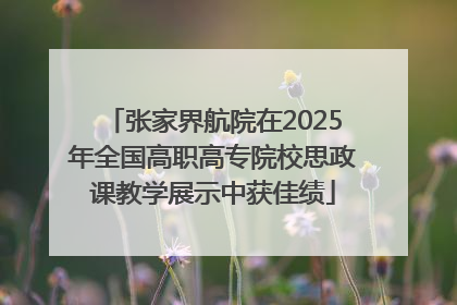 张家界航院在2025年全国高职高专院校思政课教学展示中获佳绩