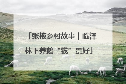 张掖乡村故事｜临泽林下养鹅“钱”景好
